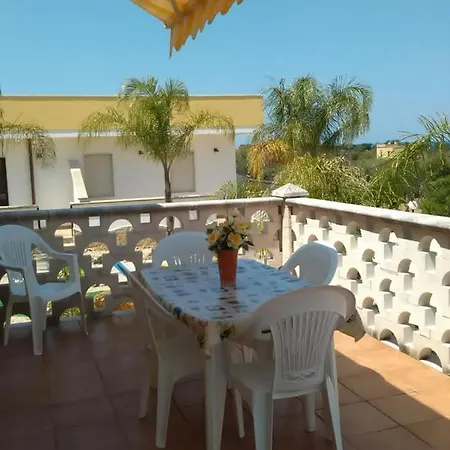 Piccolo 갈리폴리